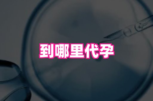 北京助孕网 1