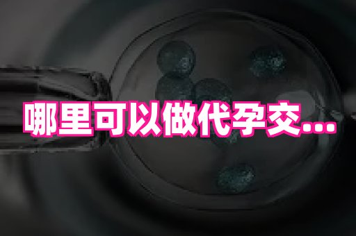 北京助孕网 4